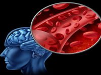 Hướng dẫn 5 cách tăng cường máu lên não hiệu quả.
